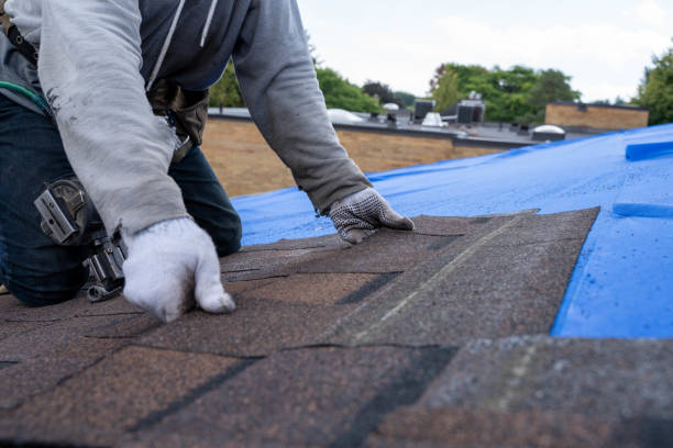 Best Commercial Roofing Services  in Taylorsville, MS