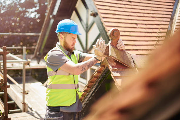 Best Commercial Roofing Services  in Taylorsville, MS